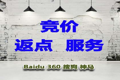 某电商平台的SEM优化托管实践与效果评估